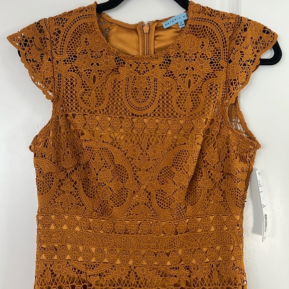 Antonio Melani Midi Dress - Picture 1 of 5